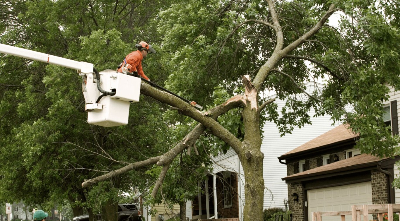 Storm Cleanup & Debris Removal service in Cheyenne, WY