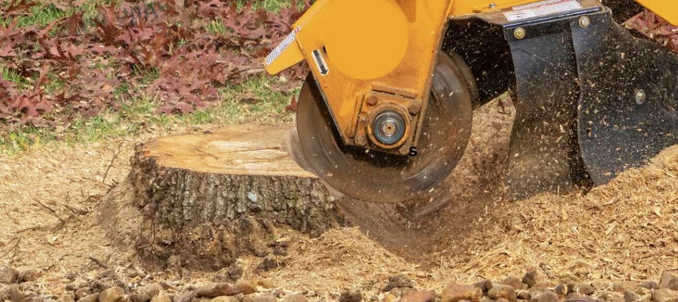 Stump Grinding & Removal service in Cheyenne, WY